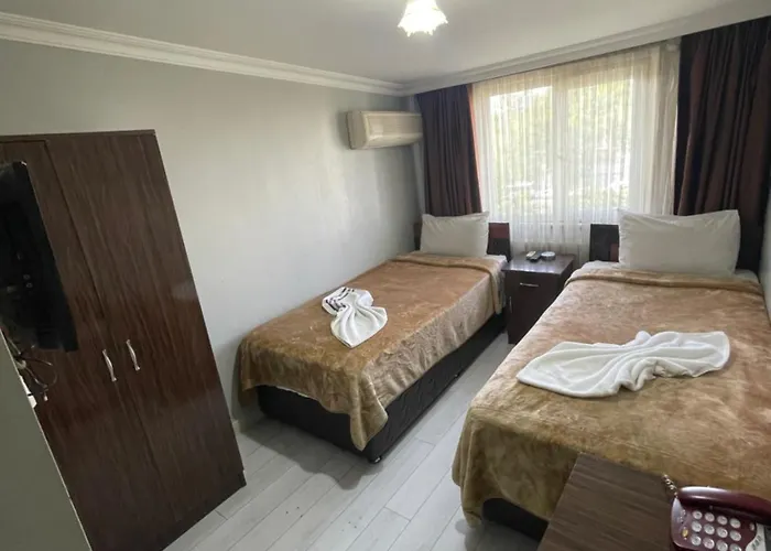 酒店 Grand Oemer 3*