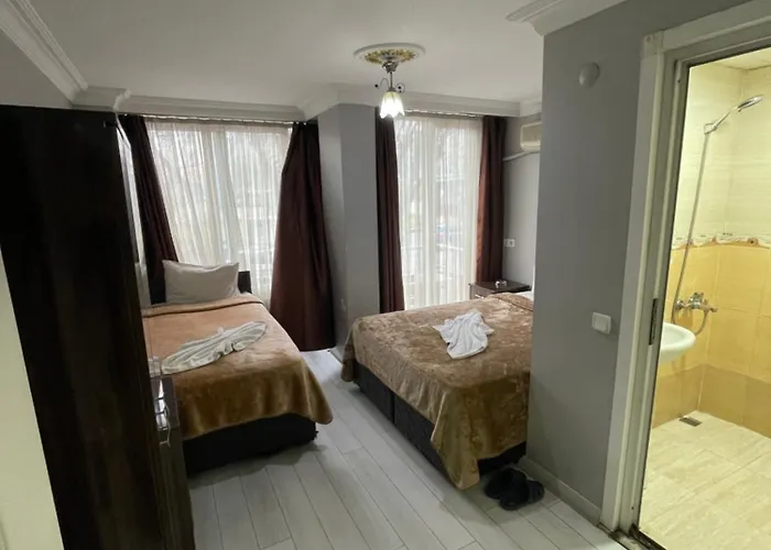 فندق Grand Oemer 3*