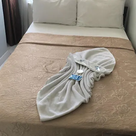 Grand Oemer 3* イスタンブール